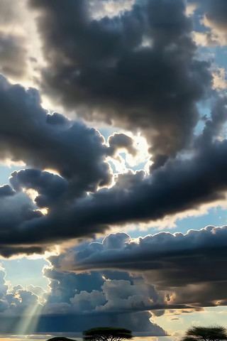 非洲草原天空与树木景观 非洲草原天空与树木景观