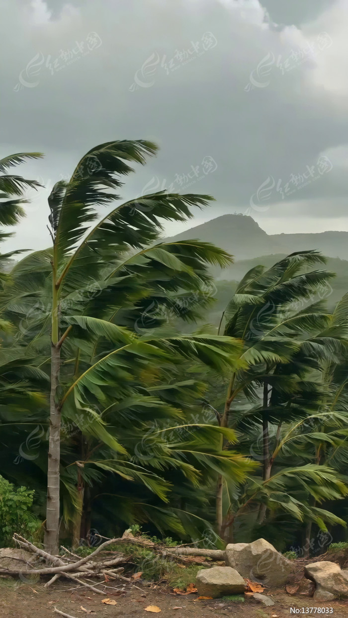 �紵�������������Զɽ