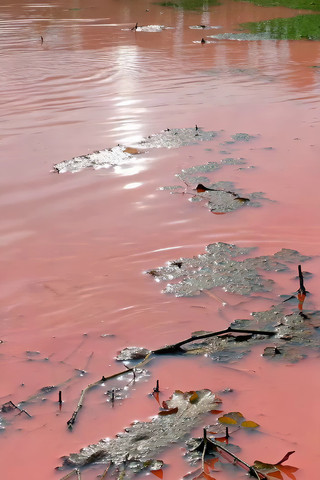 粉红色河水与漂浮物 粉红色河水与漂浮物