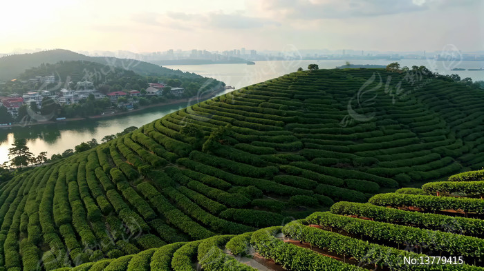 ������ɽ��������