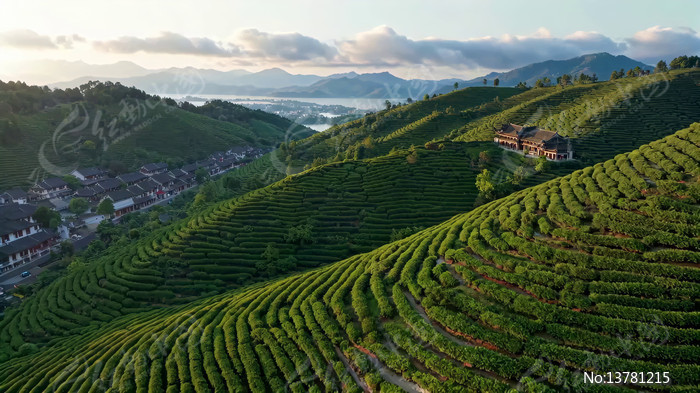 ���԰��⼰ɽ�佨��