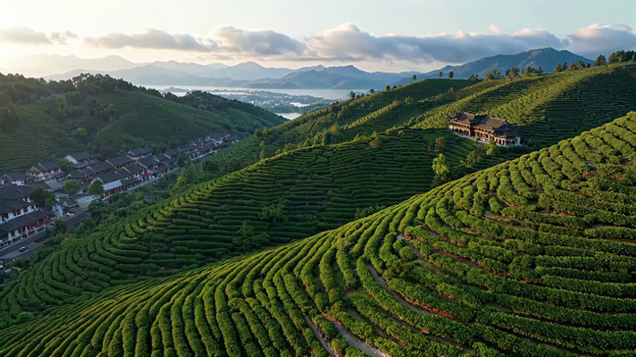 ���԰��⼰ɽ�佨��