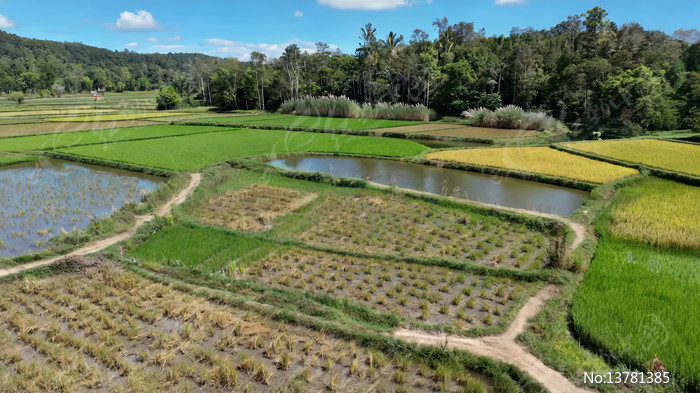 ���ʵ����ũ�ﾰ��