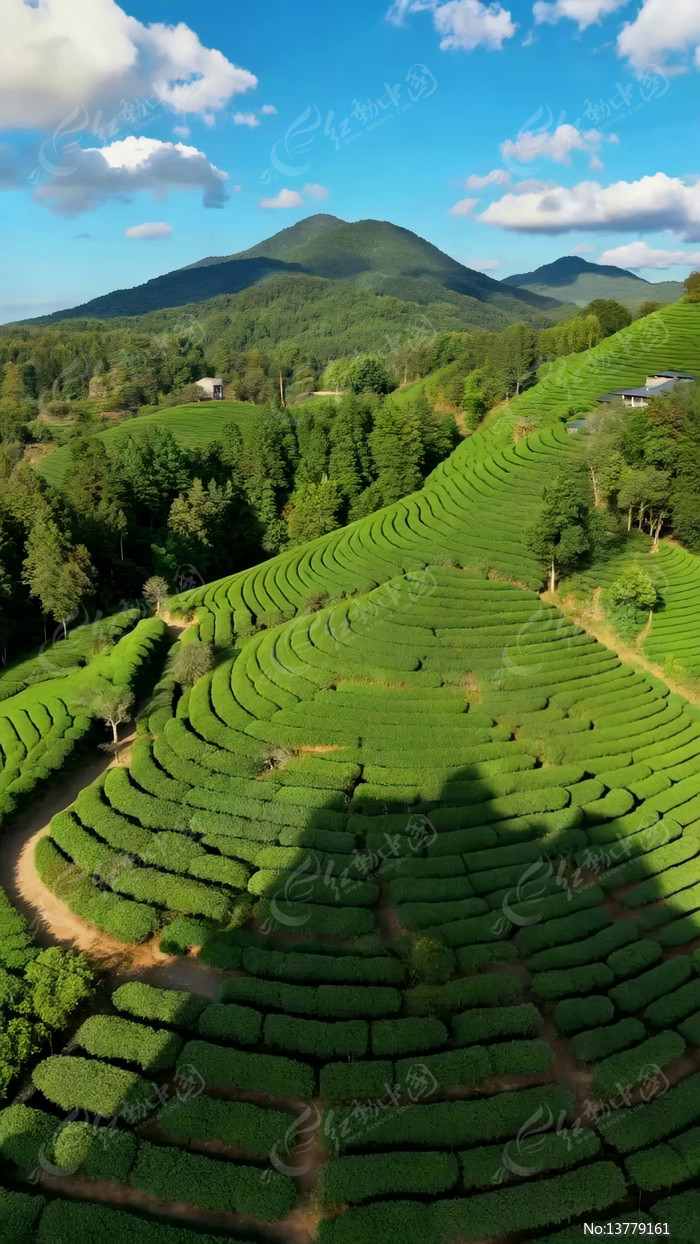 �����������ʽ��԰���