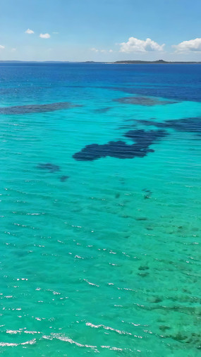 ����峺ε����