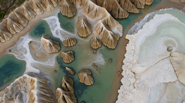 ������ص�ò��Ȼ���