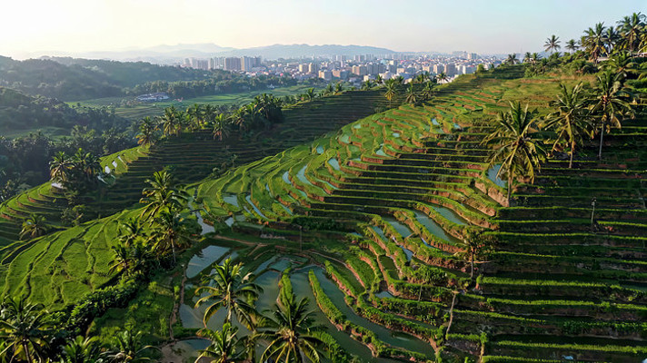 俯瞰田园风光梯田景观 俯瞰田园风光梯田景观