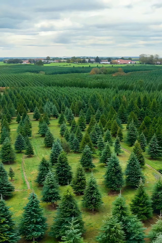 ����������е���ɫ����