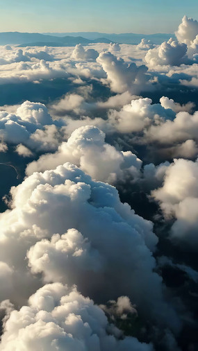 �߿ո���ƺ�����