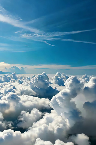 �߿ո���ƺ���������