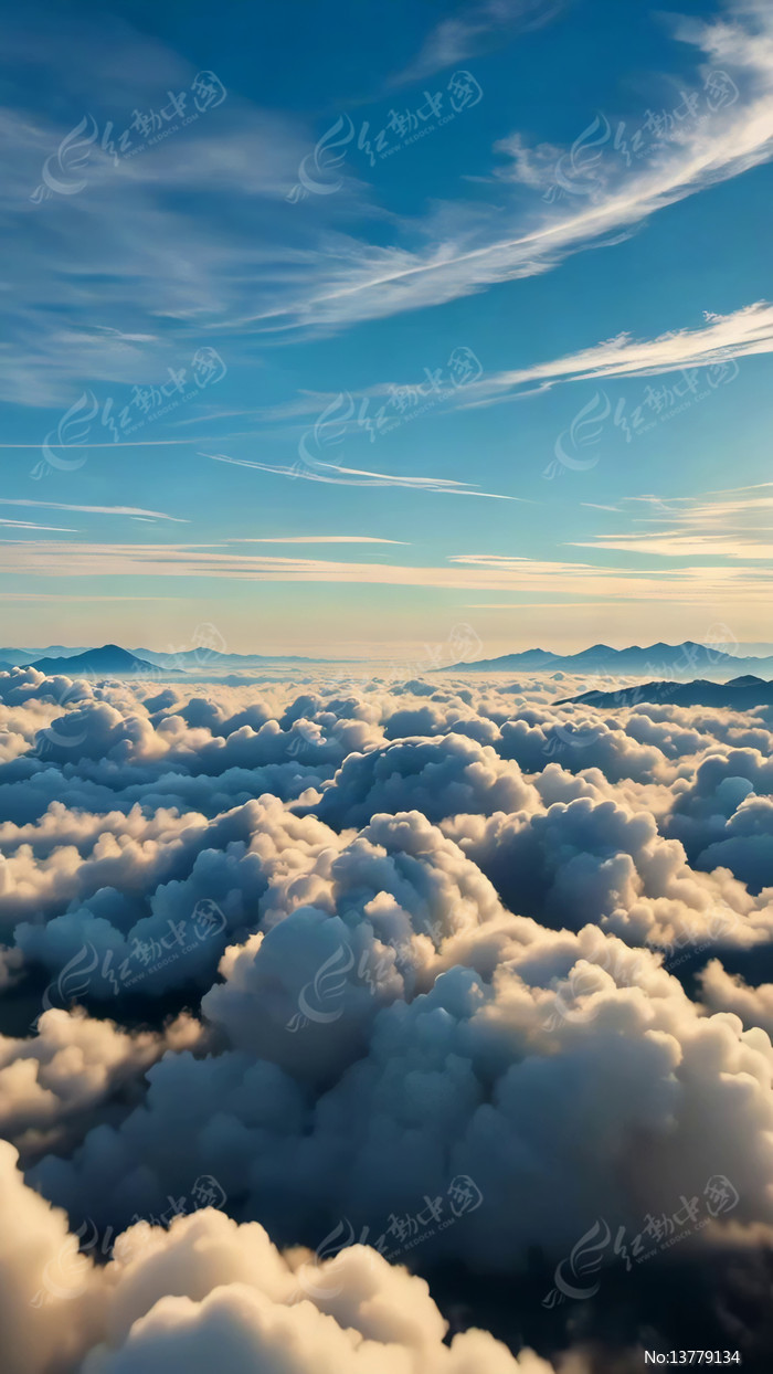 �߿ո���ƺ���������