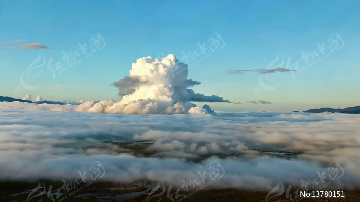 �߿ո���ƺ�����ƾ���