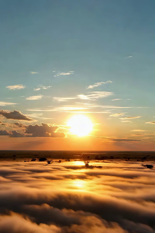 �߿��ƺ��ճ�����