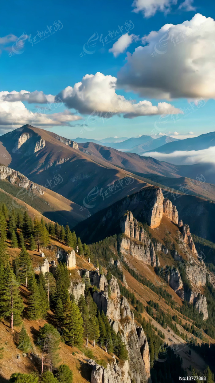 ��ɽɭ����Ȼ���