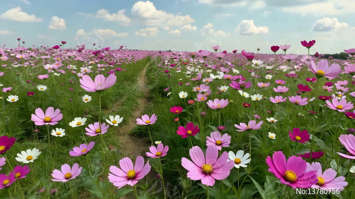 ��ɣ��������Ȼ����ز�