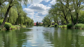 ��԰������Ȼ���