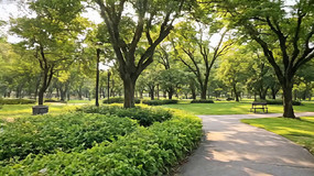 ��԰���������С·����