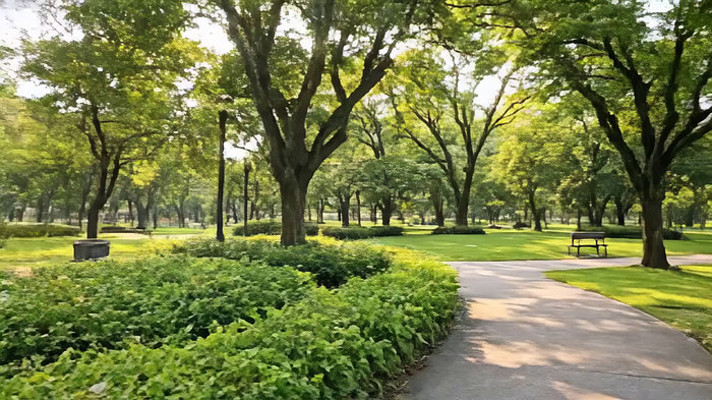 ��԰���������С·����