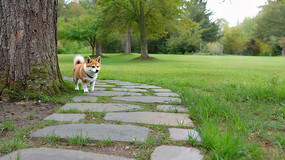 ��԰��С����ʯ��·������