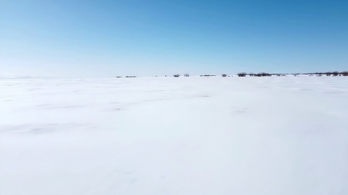 ����ѩ��������Ȼ���