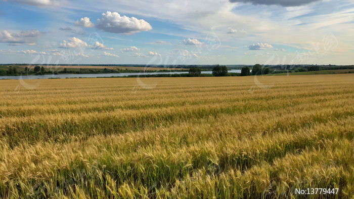 ����������Ȼ���