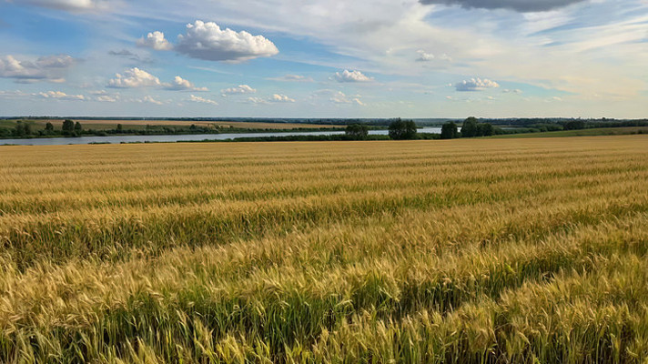 ����������Ȼ���