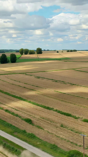 ������Ұ��԰���