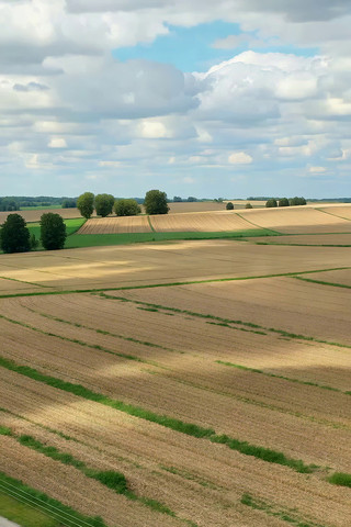 ������Ұ��԰���