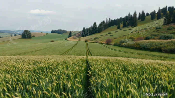 ������Ұ�е�С�󾰹�