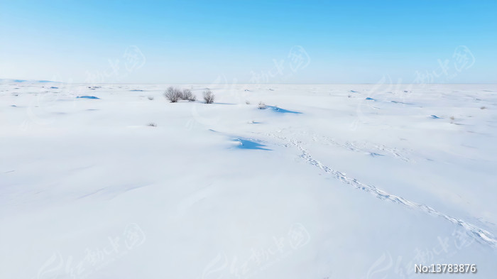 ����ѩԭ���