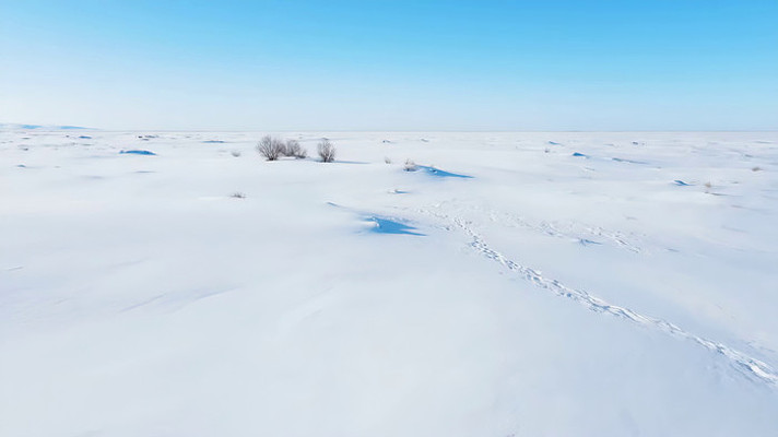 广袤雪原风光 广袤雪原风光