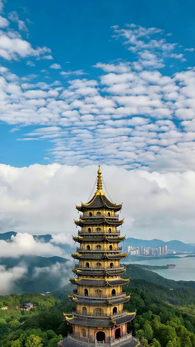 �������������ȫ��