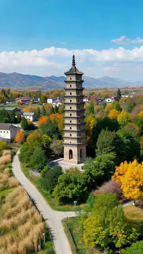 �������շ�⺽��