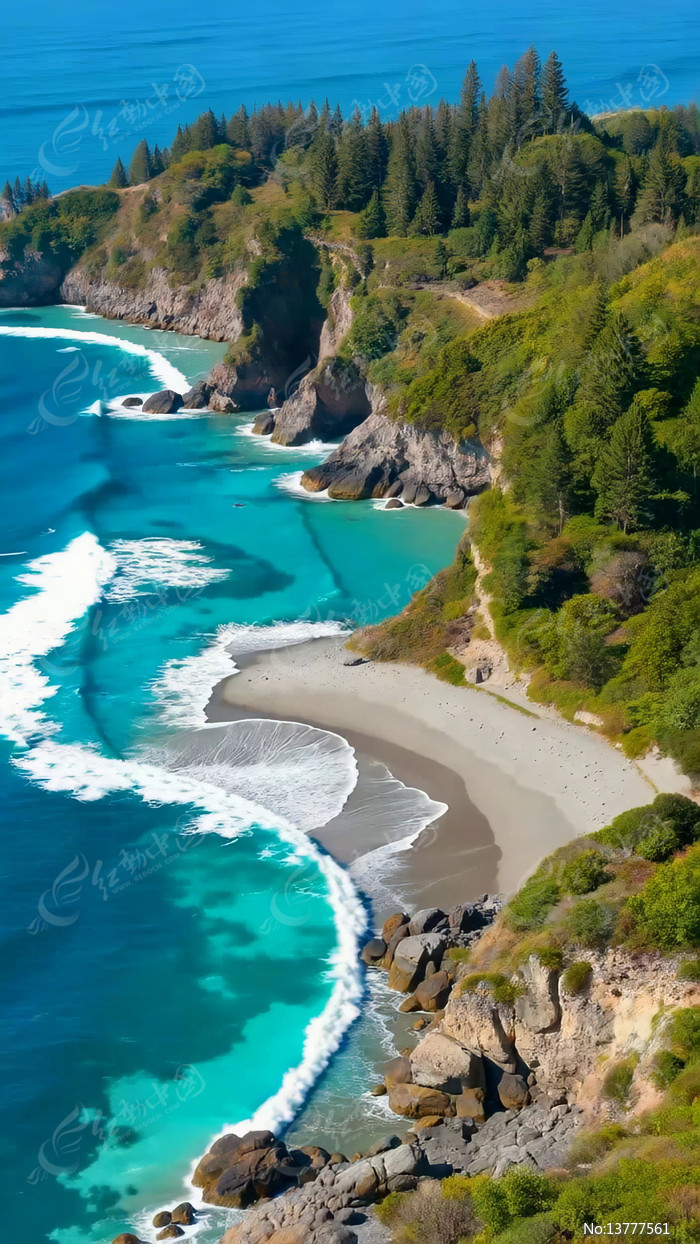 ������ɭ�ָ��ǵ����¾���