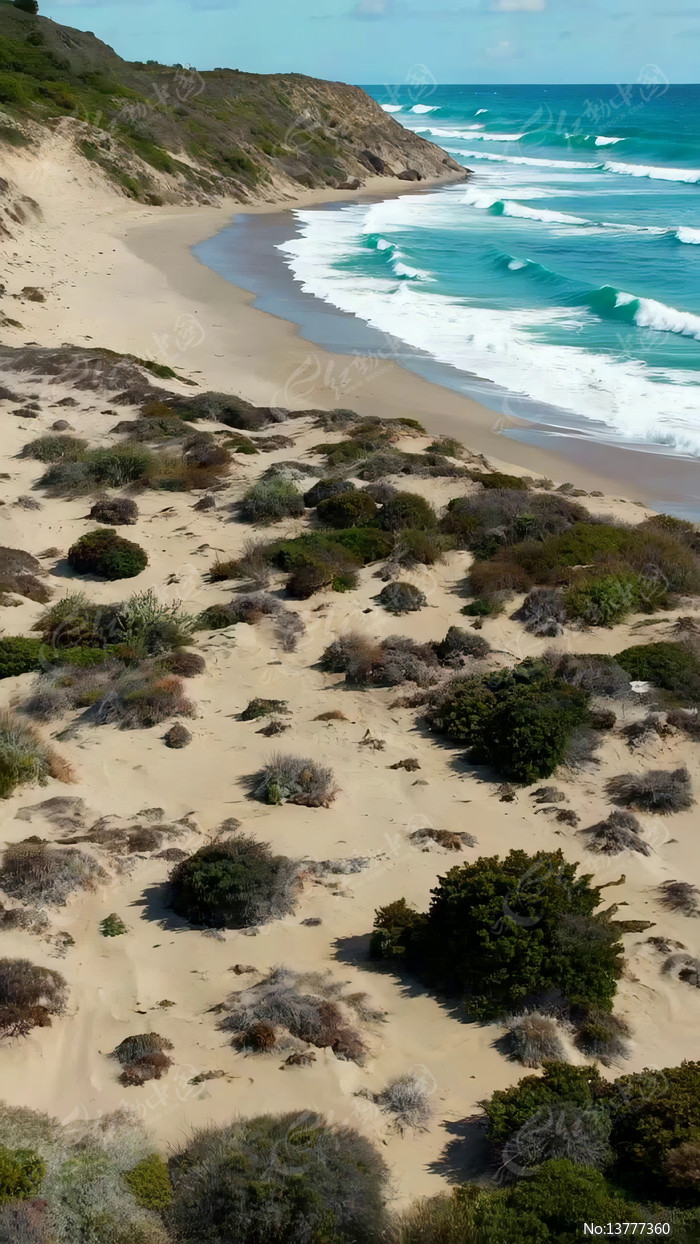 ����ɳ̲��Ȼ��⸩�