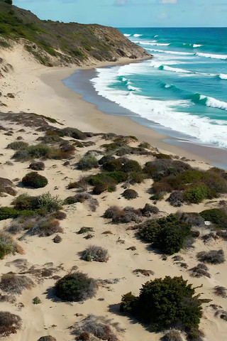 ����ɳ̲��Ȼ��⸩�