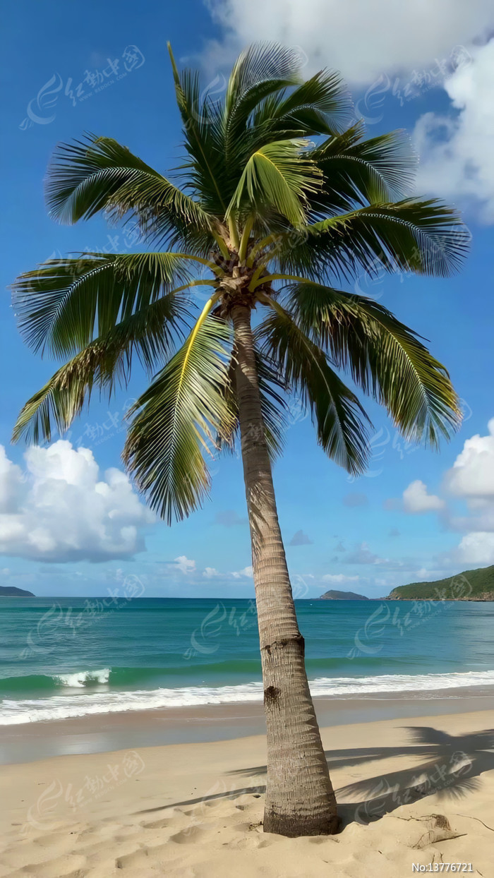 ���ߵ���Ҭ�����羰