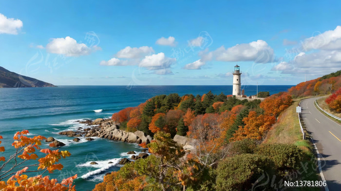 ���߹�·�Եĵ������շ��