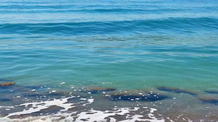 ���ߺ��˽�������