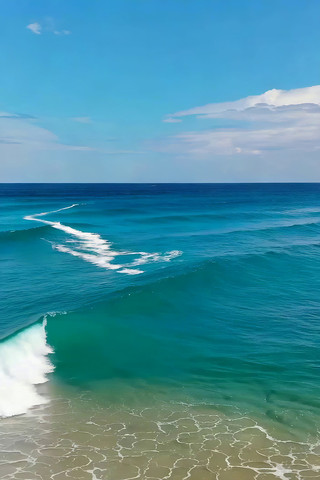 ������ɫ�����ɫ�˻�