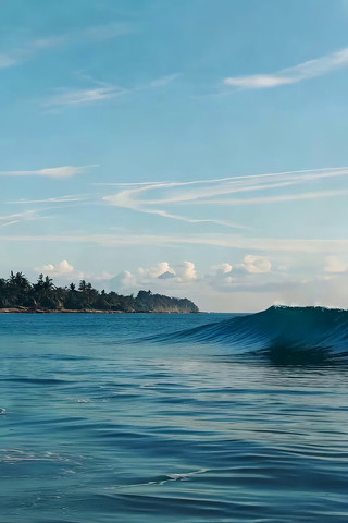 ������ɫ������Զ��Ҭ�־���