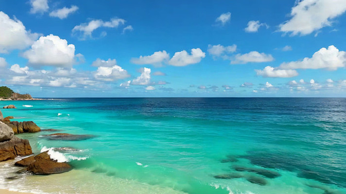 ����������ƺ������