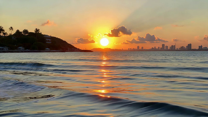 �����������Զ�����