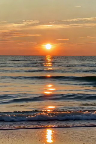 �������亣���Ӱ����