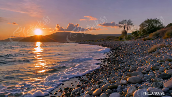 ����������Ȼ���