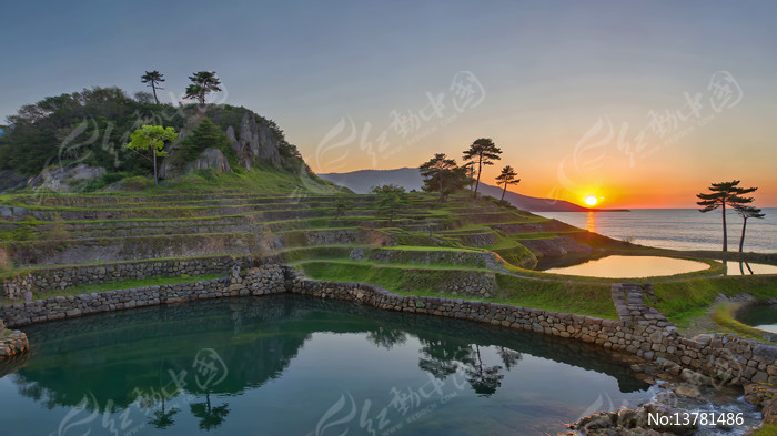 ����������Ȼ���