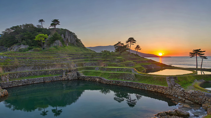 ����������Ȼ���