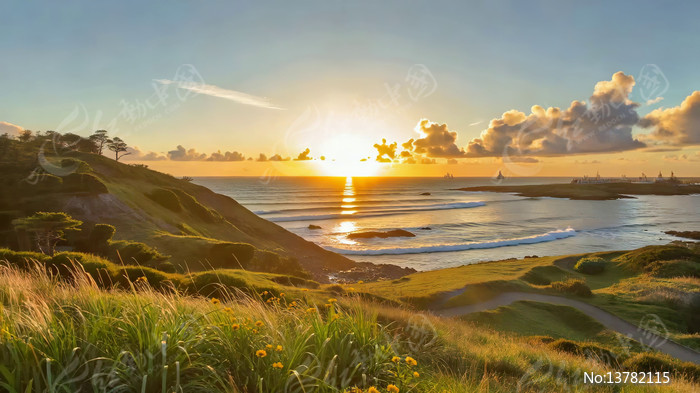 ����������Ȼ���