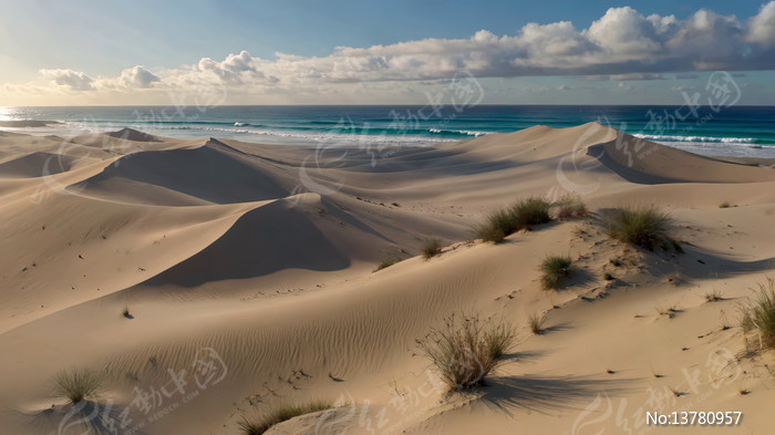 ����ɳĮ��Ȼ���