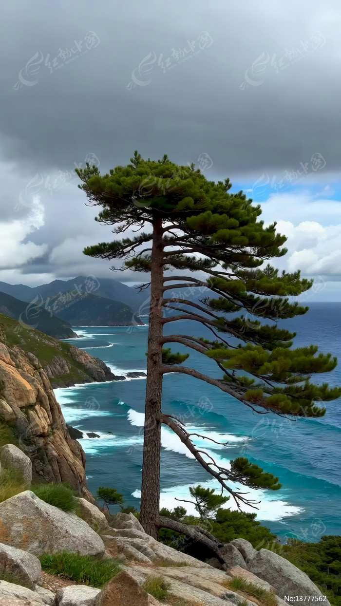 ��������������Ȼ���